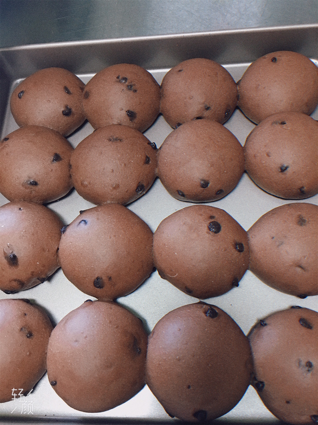 普通面粉可可巧克力餐包（一次发酵）的做法 步骤7
