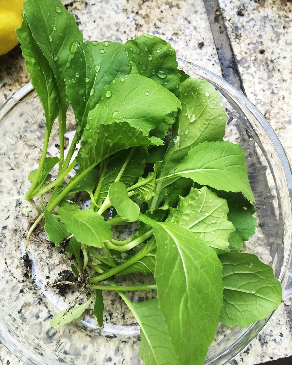 菁菁妈妈做的晚餐612018年6月3日