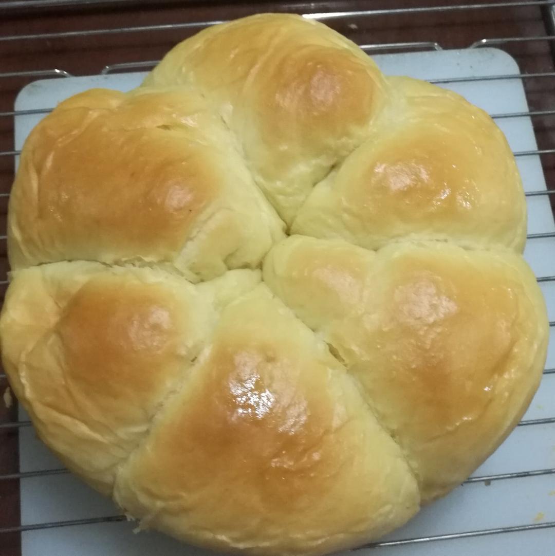 老面包