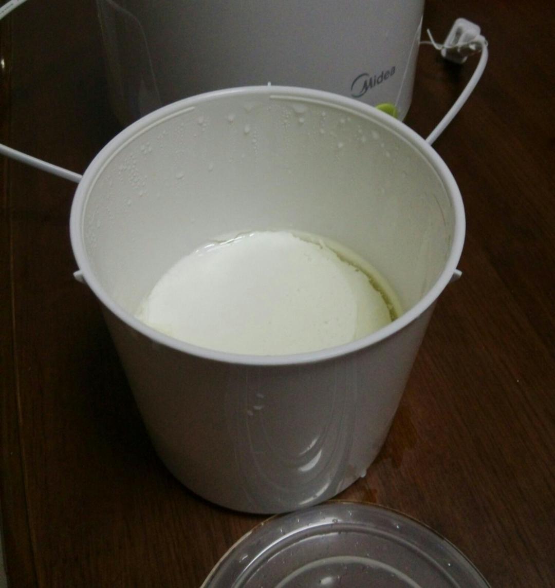 自制酸奶