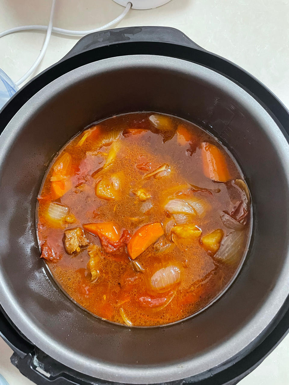 西红柿炖牛腩（牛肉）