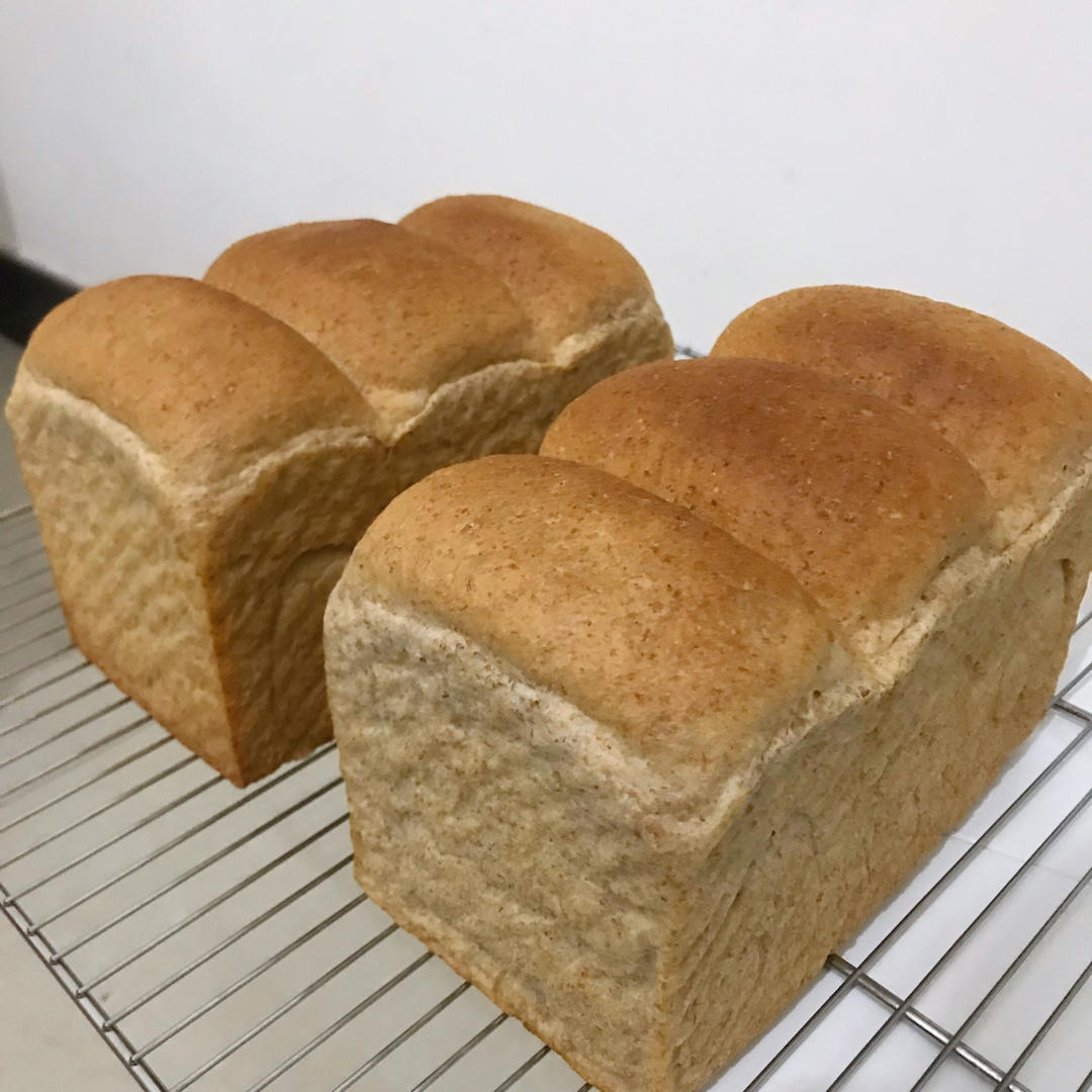 波兰种全麦吐司