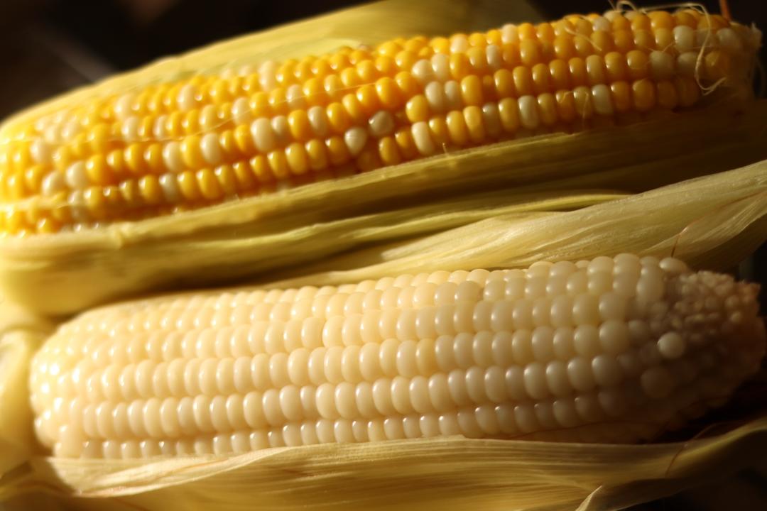水煮玉米🌽的做法