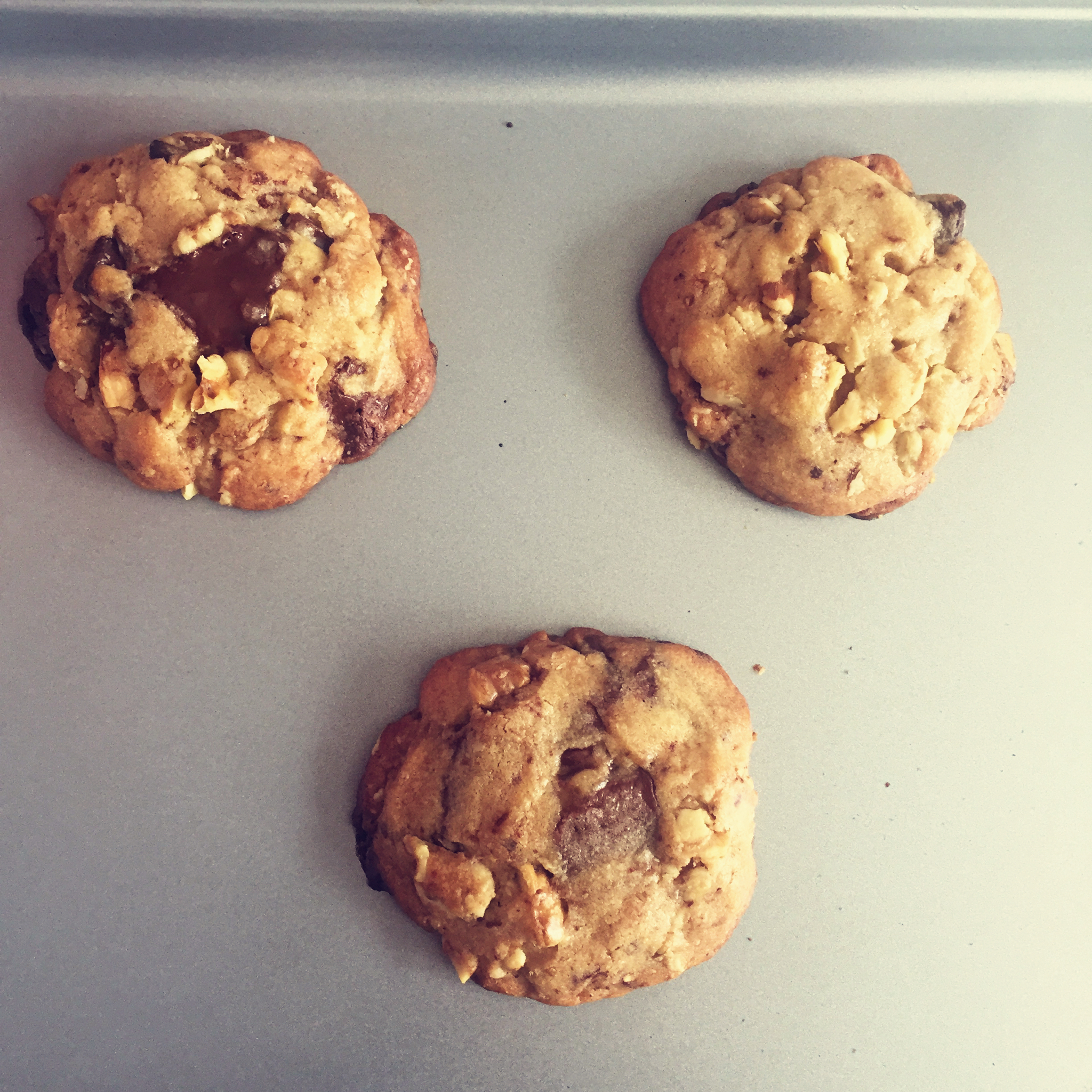 褐色黄油巧克力奇普饼干