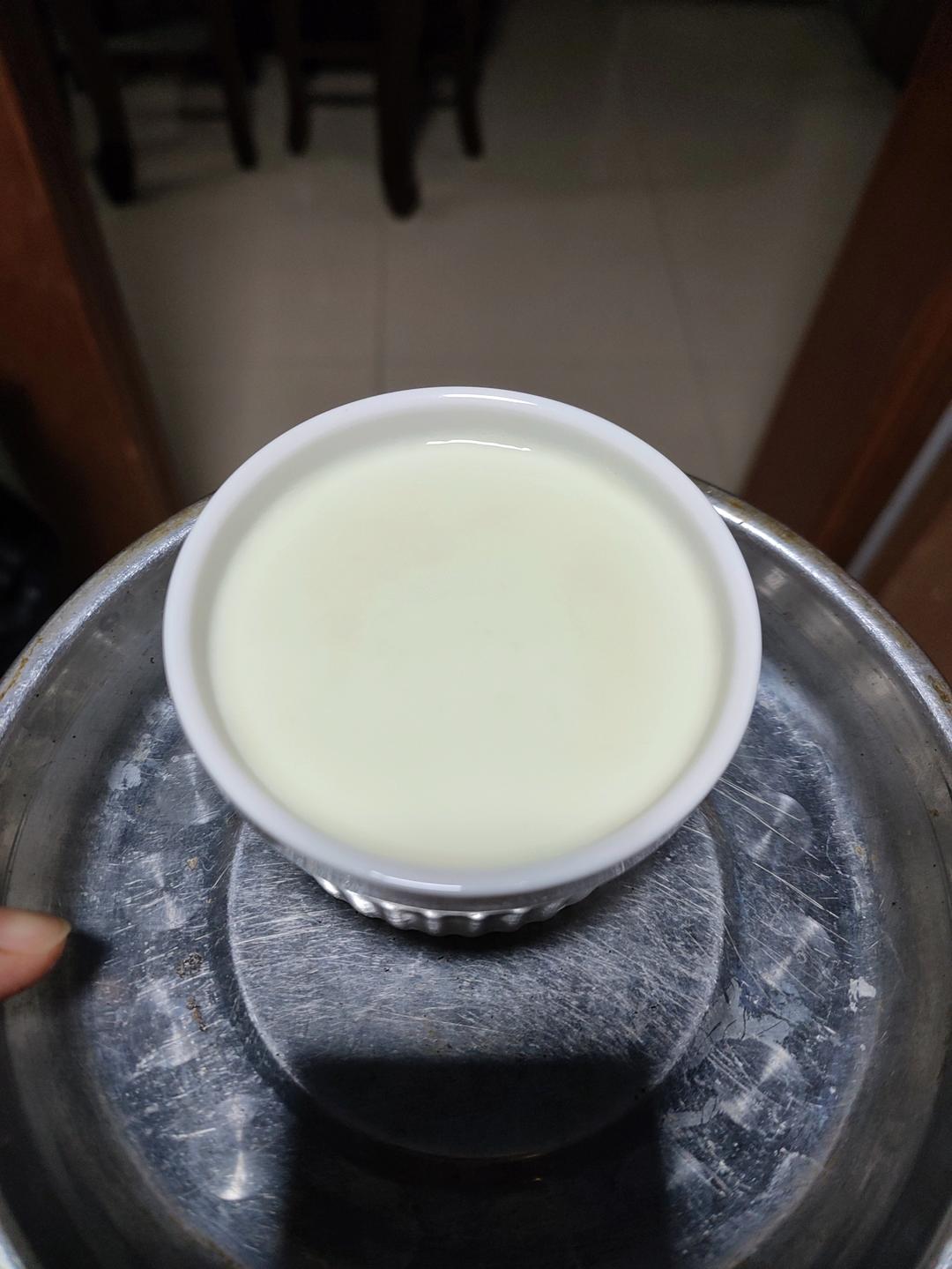 消耗蛋白！超简单！双皮奶