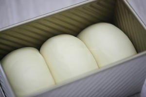 一次发酵纯奶手撕吐司面包（防止面团温度高的方法）B55的做法 步骤9
