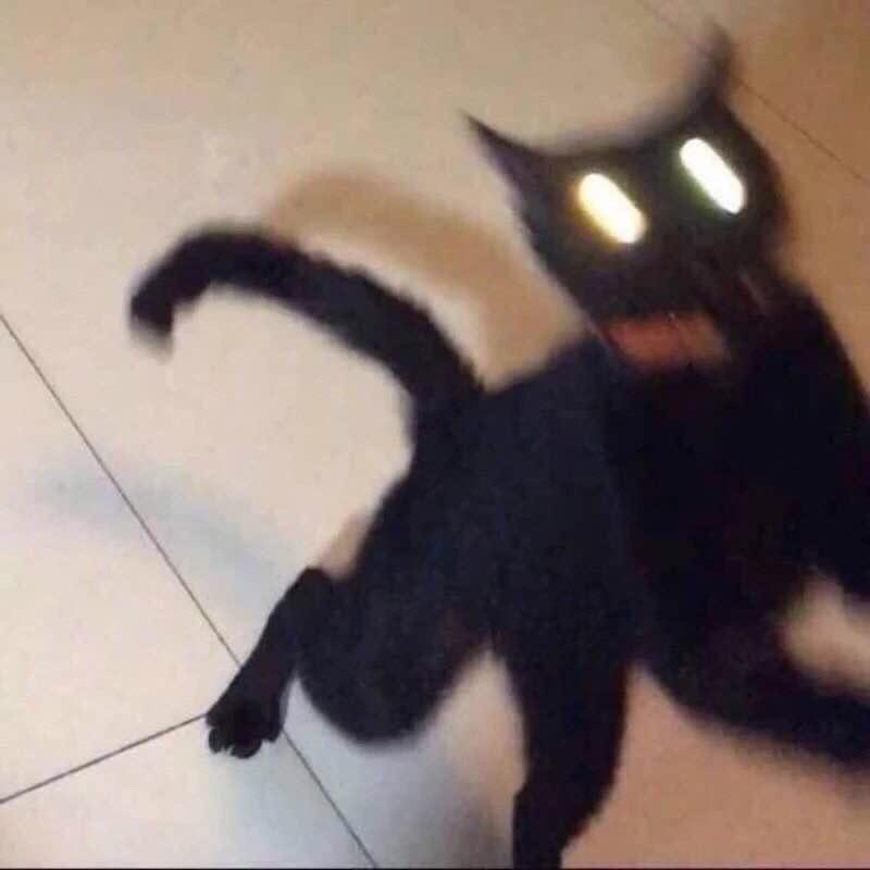 快把厨房炸了快