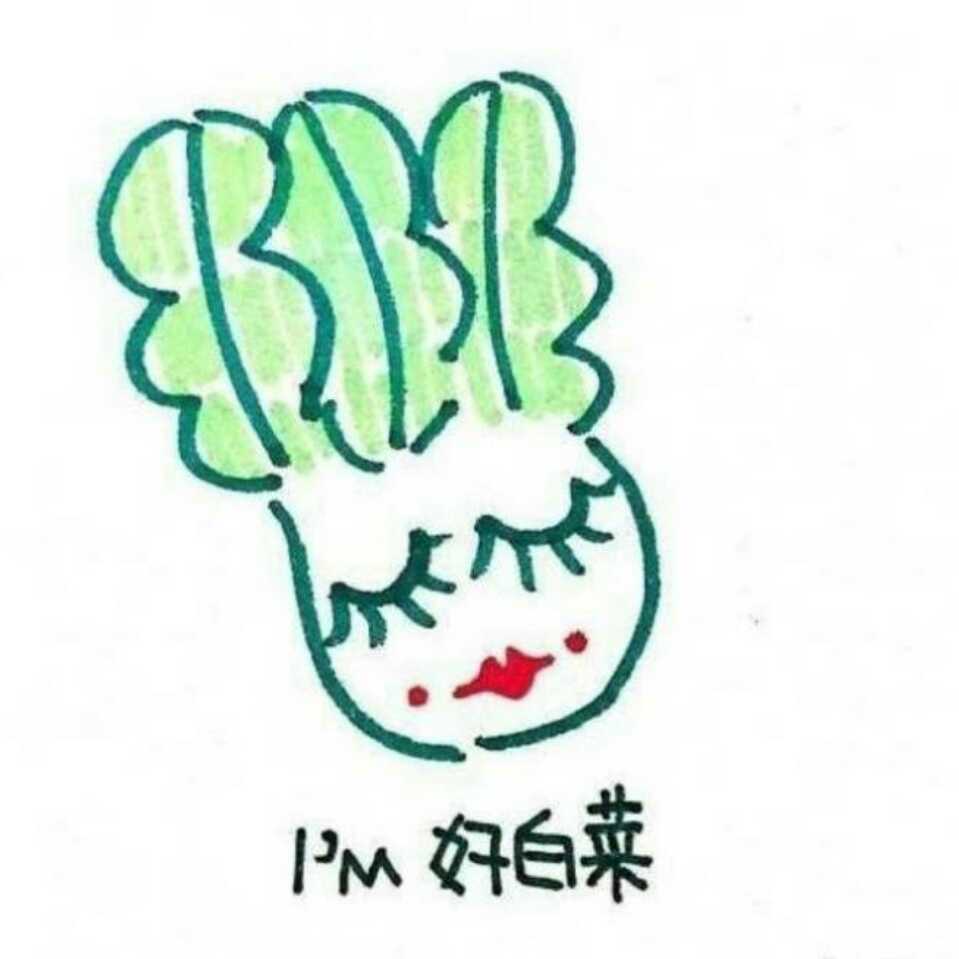 Y的厨艺提升