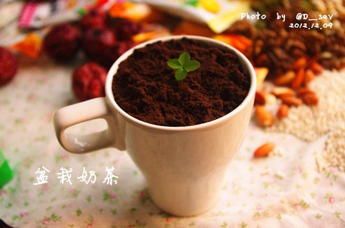 盆栽奶茶