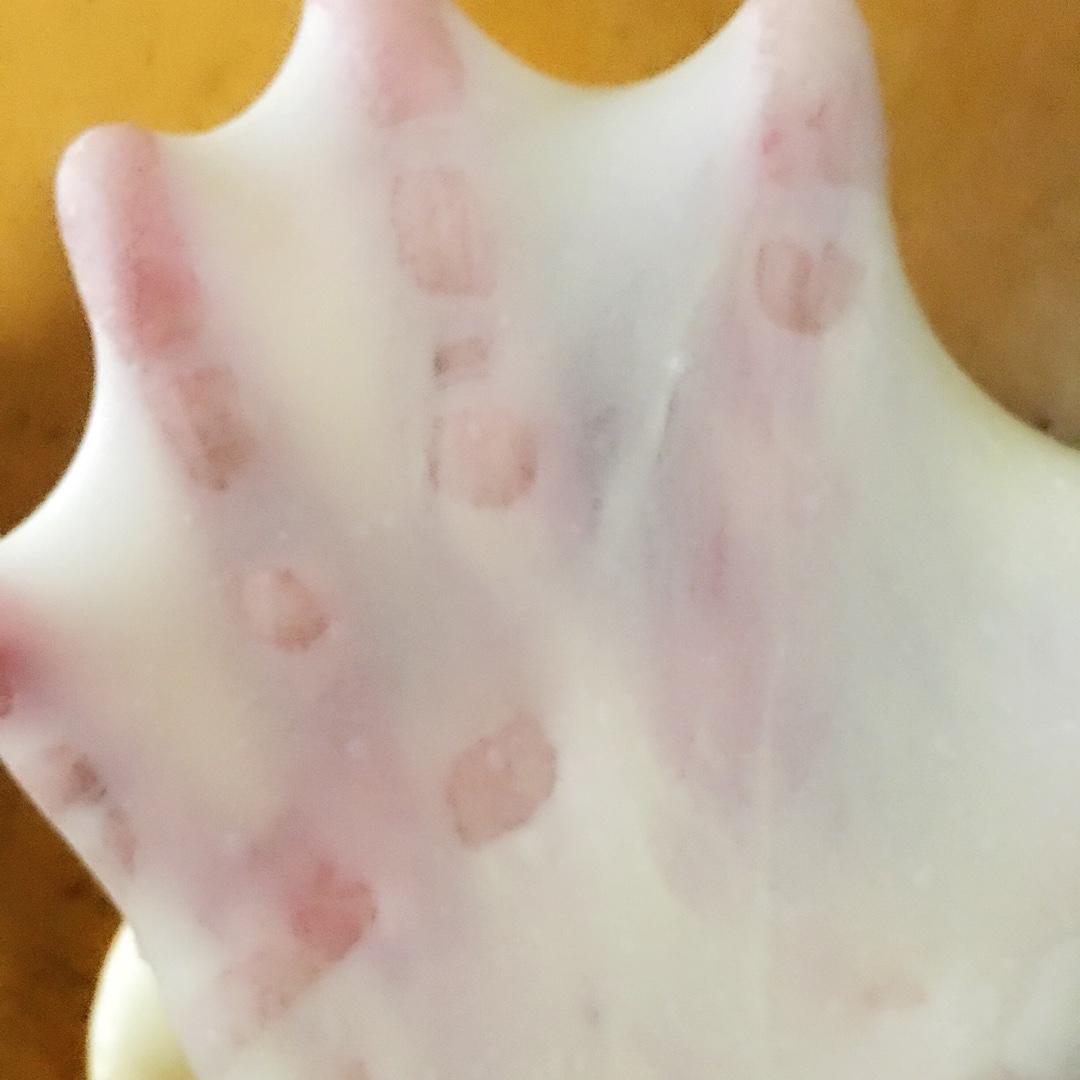 如何用面包机揉出手套膜