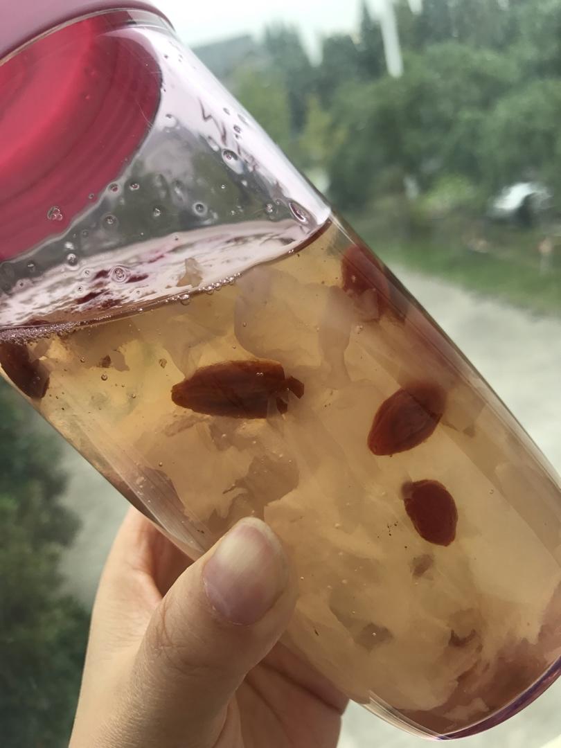 桃胶皂角米银耳雪燕羹