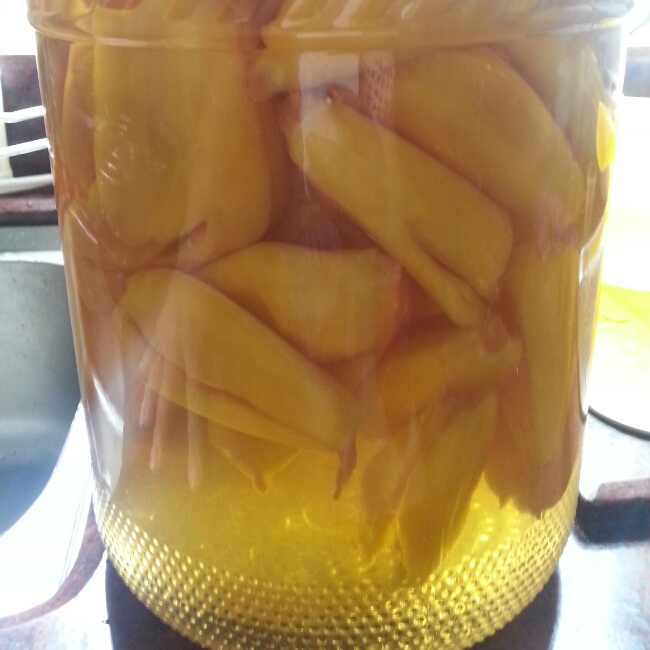 菠萝蜜酒