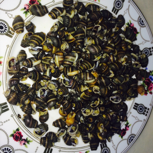 羽昕做的炒麦螺