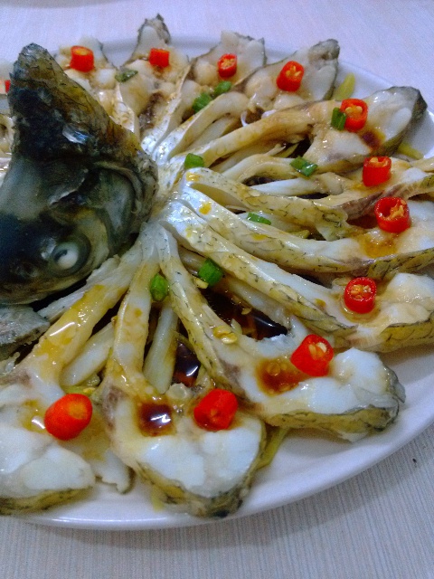 孔雀开屏鱼