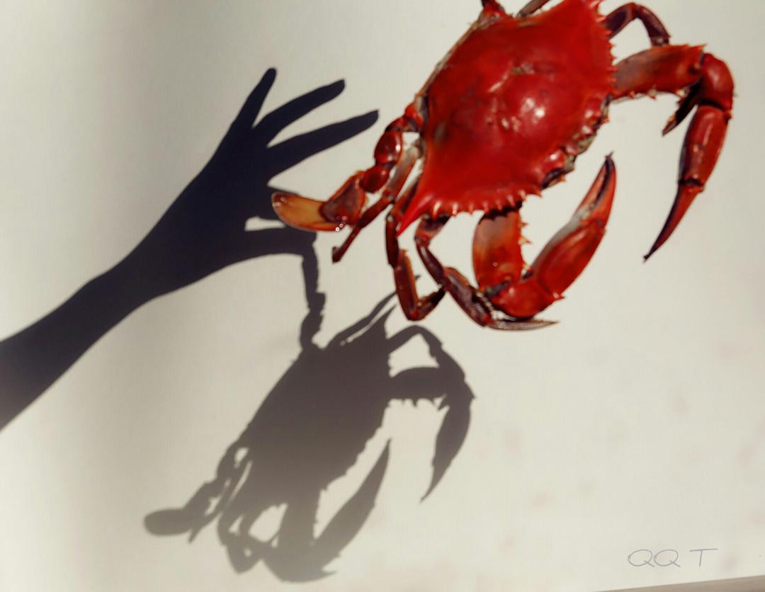 螃蟹不光可以拿来吃的，也是可以拿来玩的