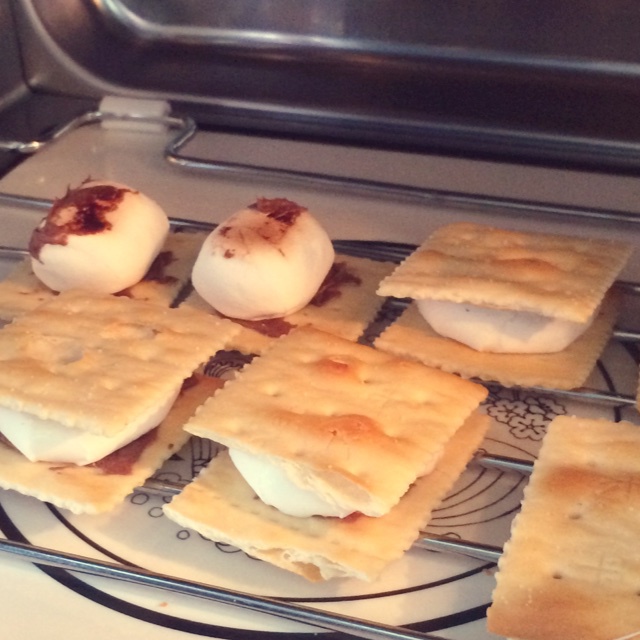 S'more 苏打饼夹烤棉花糖
