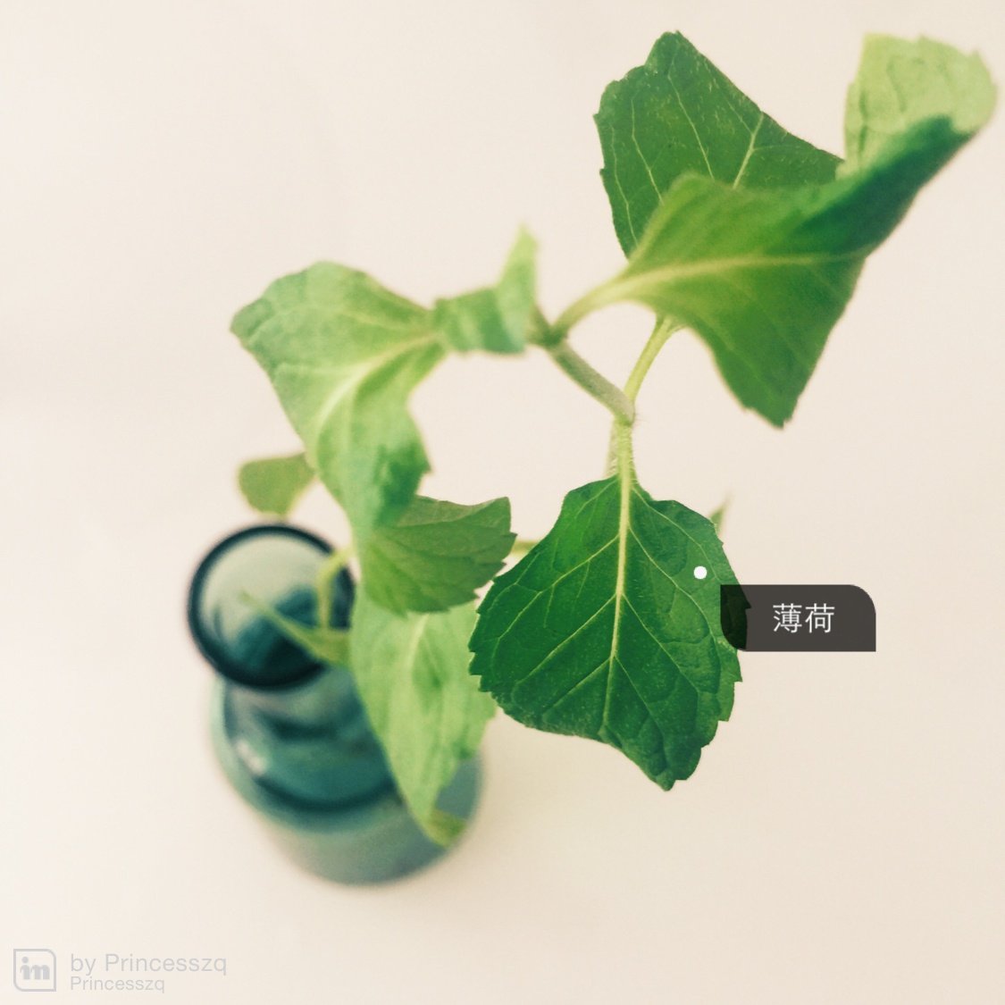 Amin手机摄影课后作业（轻摄影）