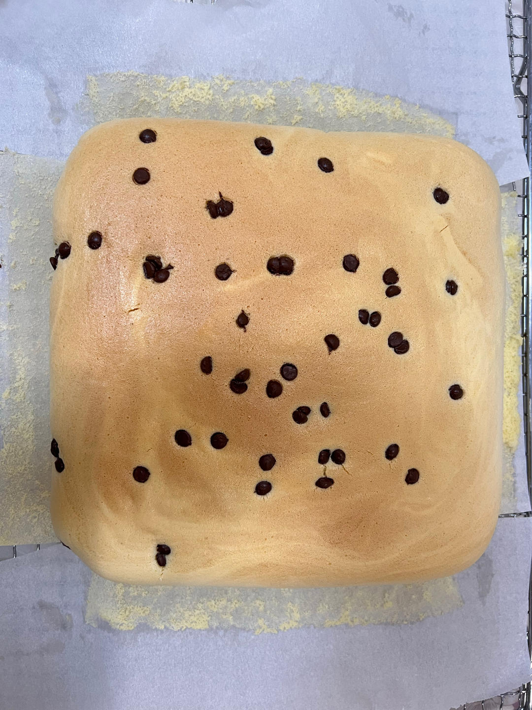 烘焙新手可以尝试的古早蛋糕