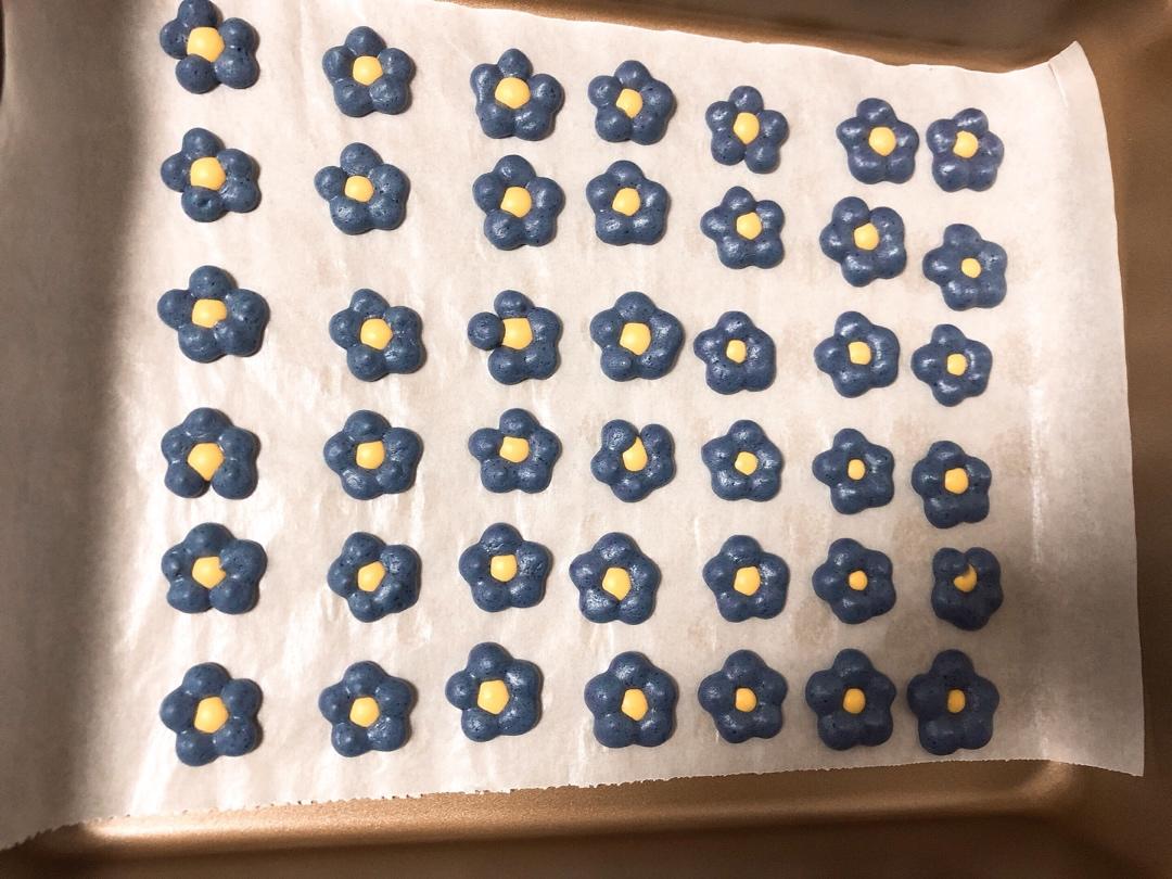 蓝莓花朵溶豆