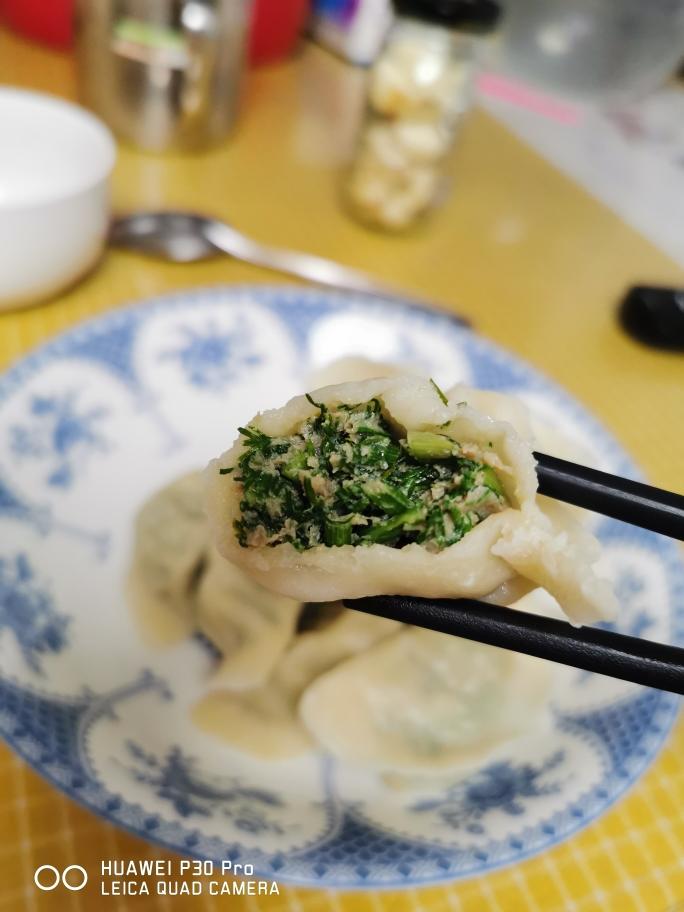 小白版茴香猪肉饺子，一次成功的做法
