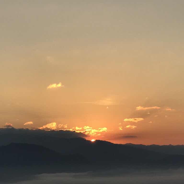 手机用户7224_yut4