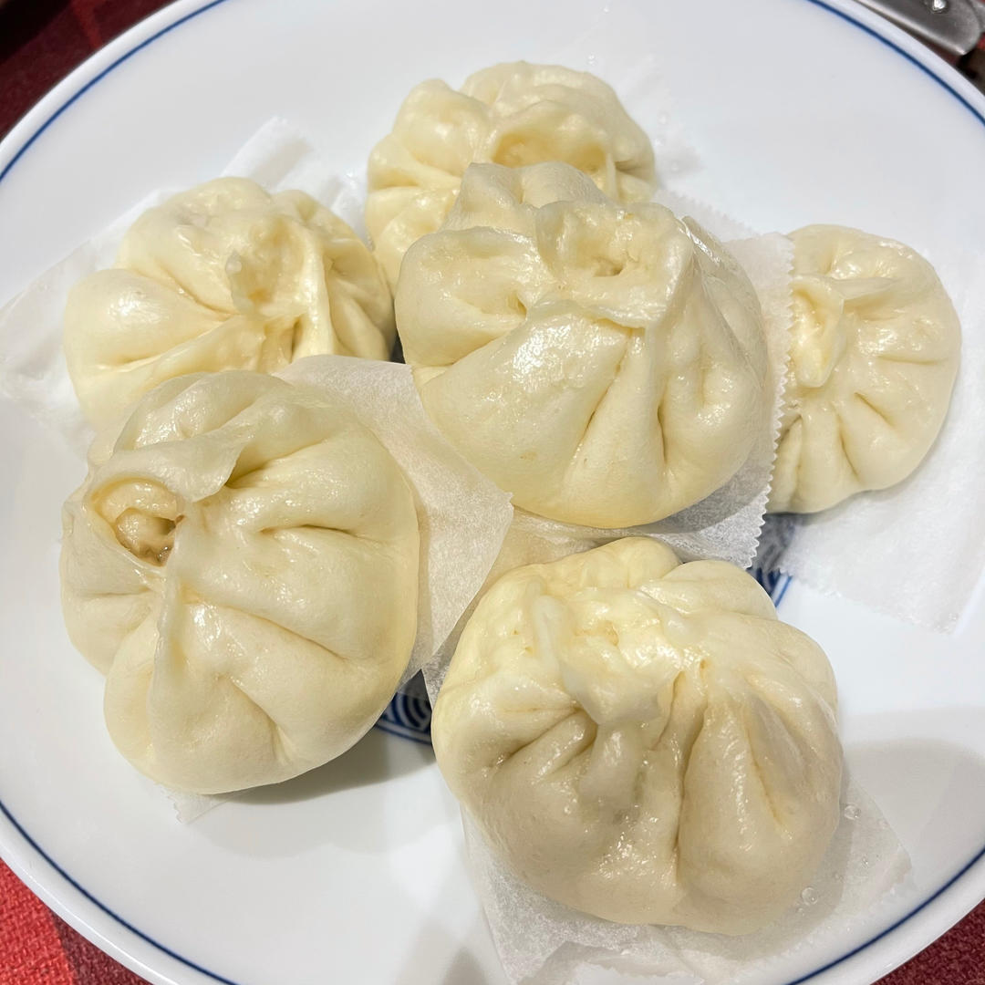 一次发酵肉包子