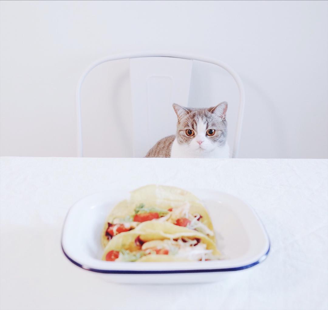 【减脂食谱】墨西哥玉米饼 Taco -鸡胸肉版