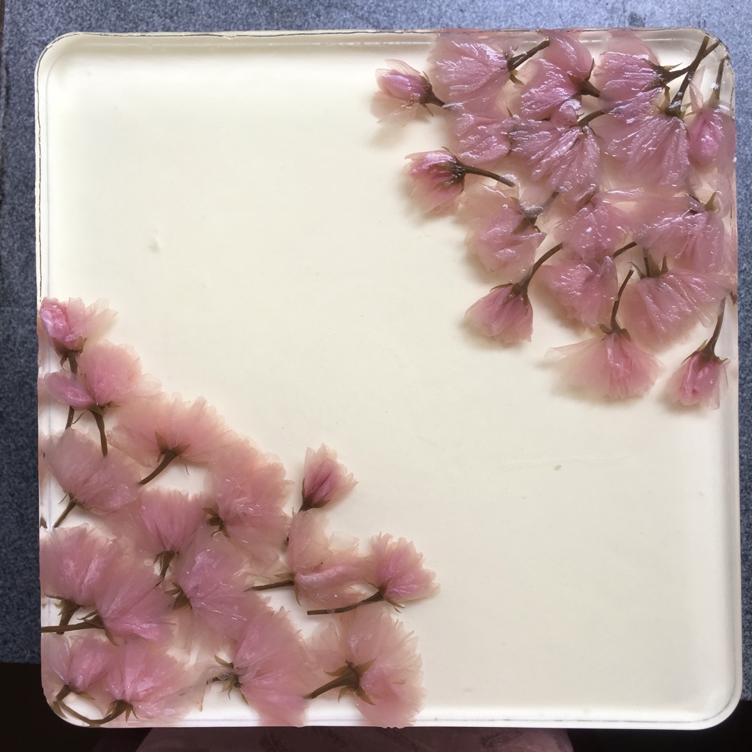 颜值超高的樱花慕斯