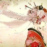 泡泡王小厨