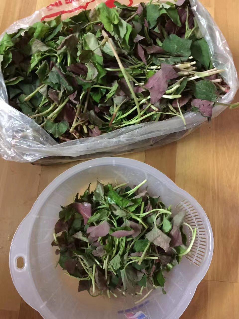 凉拌鱼腥草(折耳根)