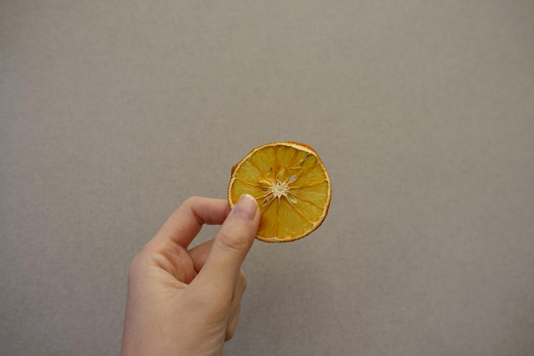 风干水果干（烤箱版）