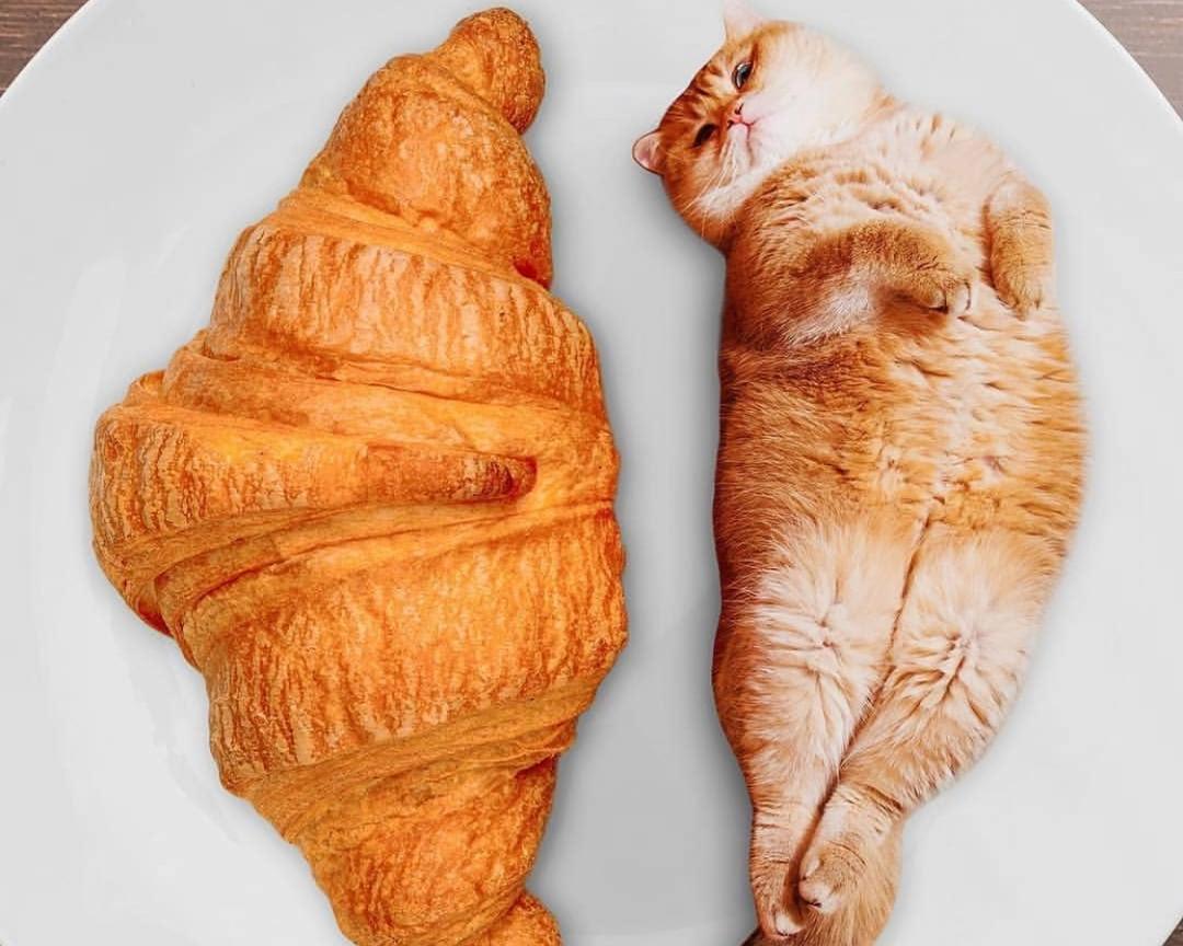 鸡胸肉末炒青豆玉米