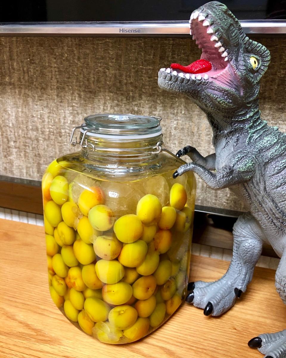 梅子酒之颜值代表-红梅酒～