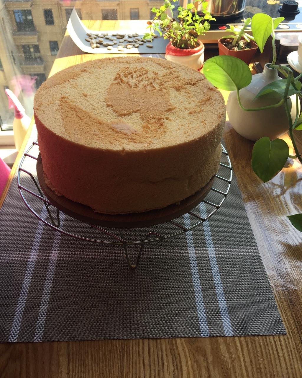 八寸戚风蛋糕（生日蛋糕坯）附六寸配单