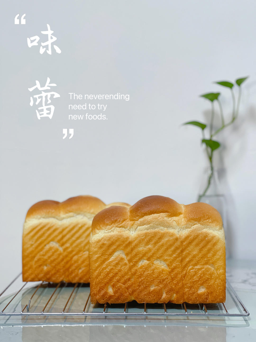 奶油吐司，鲜奶奶油嫩白吐司