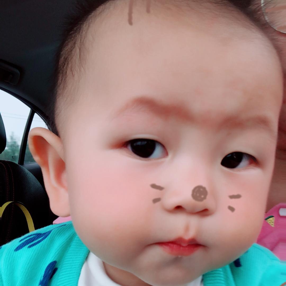 石锅鱼113