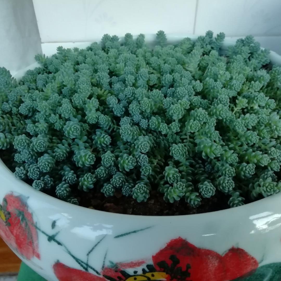 美好时光开始