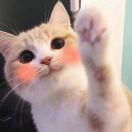 夏夏的生活记录