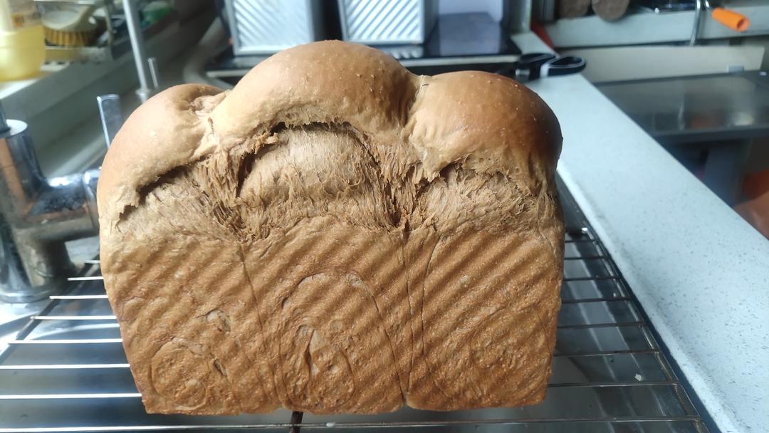 超柔软｜65度汤种｜全麦吐司｜目前为止吃过最好吃的全麦吐司没有之一