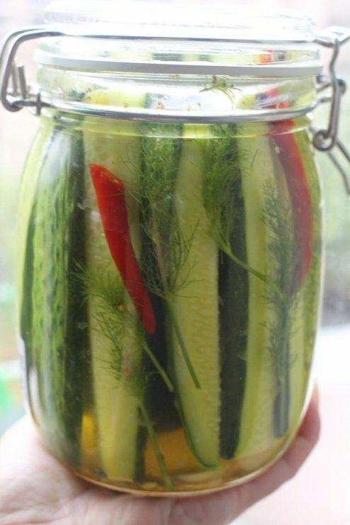 【健康泡菜】美式酸黄瓜Dill pickles