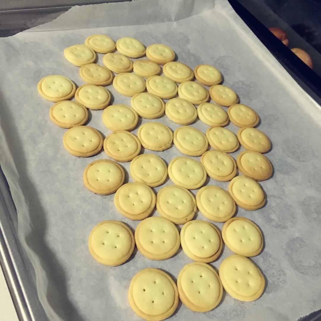 纽扣饼干┃萌到没朋友