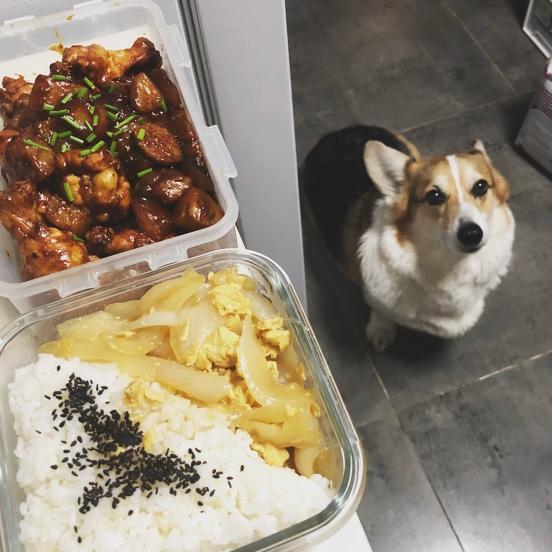 福工の便当