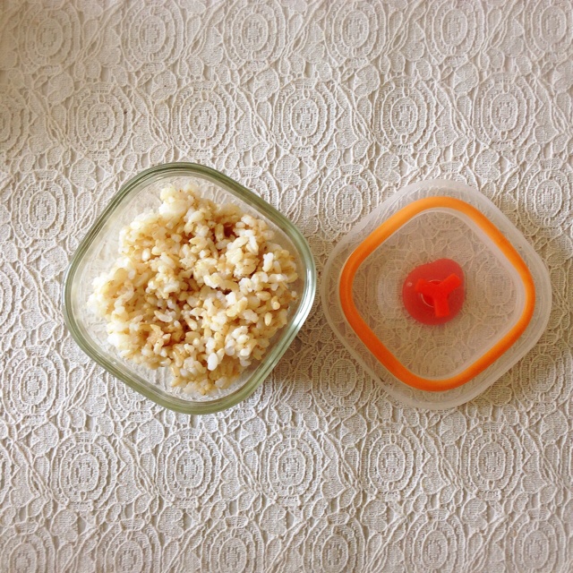 当我在减肥时我在吃什么（麦吉减肥法+和潇洒姐塑身100天）