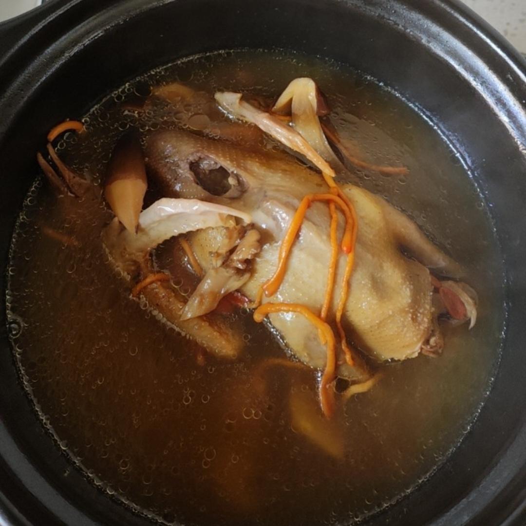 零失败养生鸽子汤