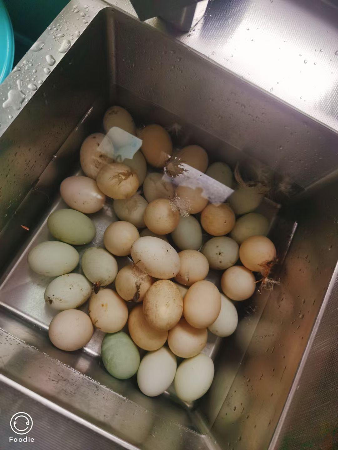 奶奶40年腌制咸鸭蛋老方子，保证100%起沙流油