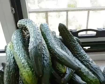 开胃脆口油黄瓜