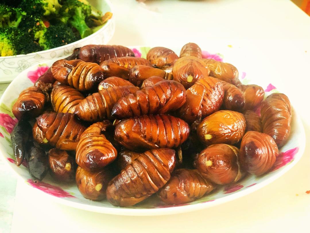 家常炒茧蛹