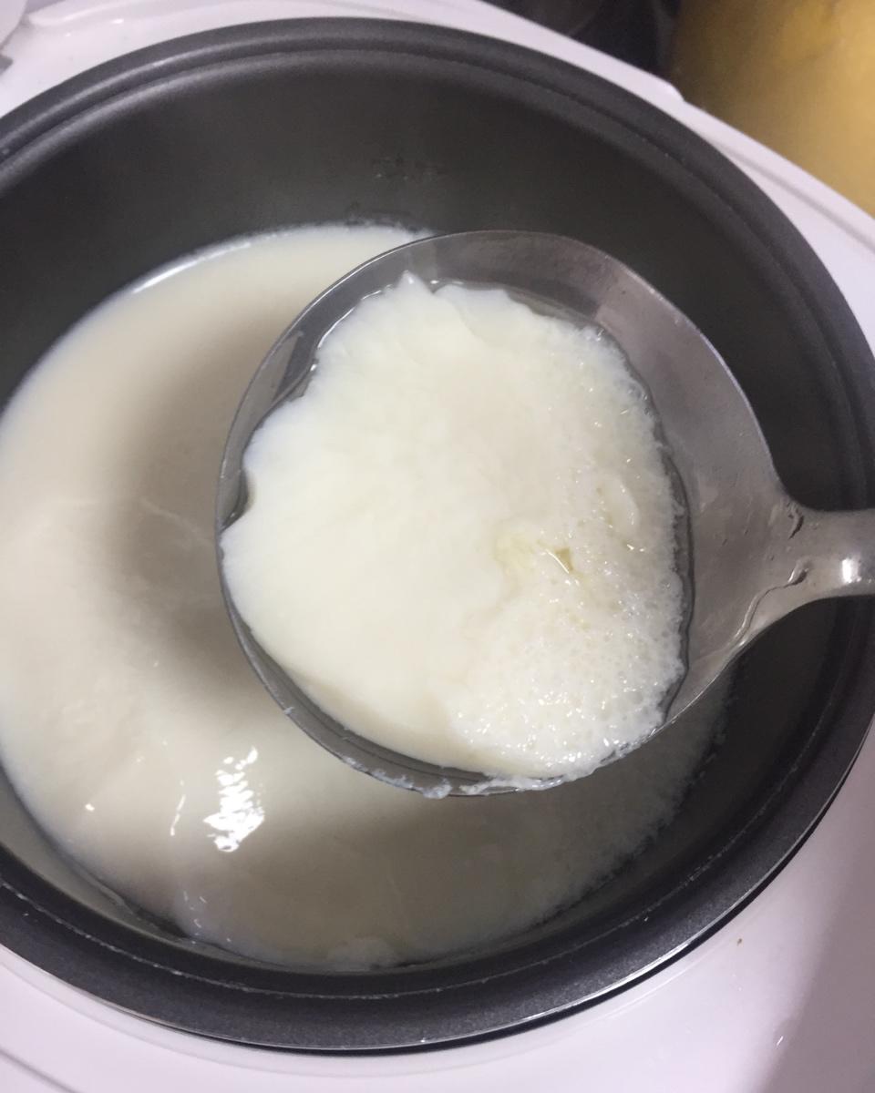 自制豆腐、豆腐脑（超详细）