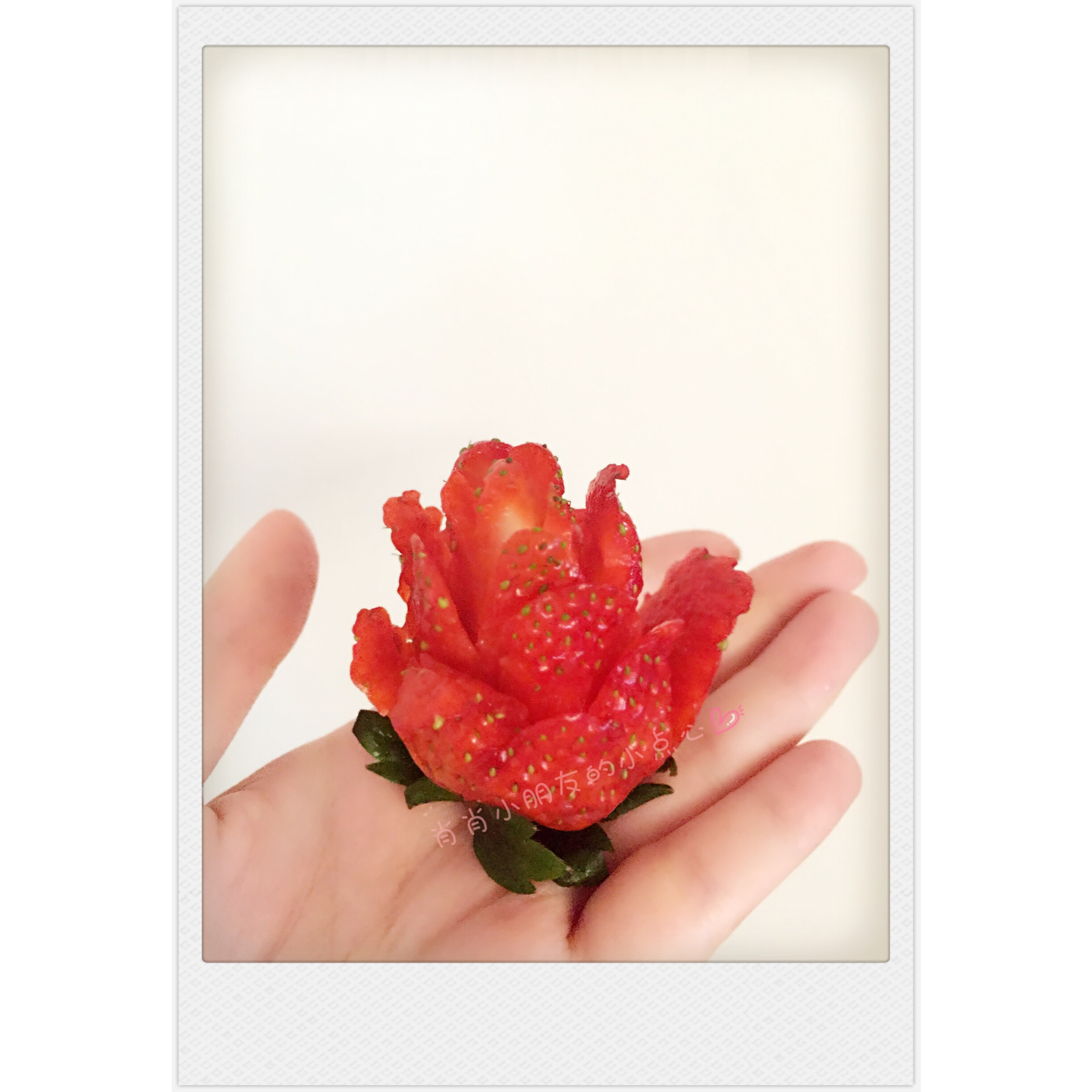 草莓玫瑰花
