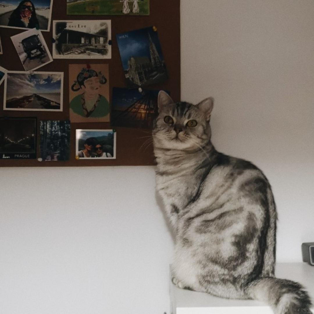 森森的好吃不做厨房